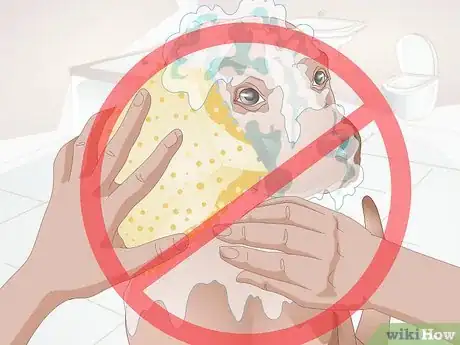 Image intitulée Care for Your Dog After Being Neutered Step 8