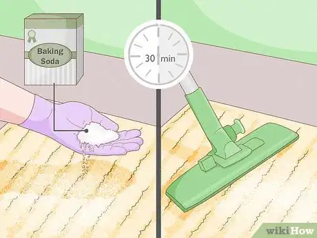 Image intitulée Get Rid of the Fishy Smell from My Dog Step 13