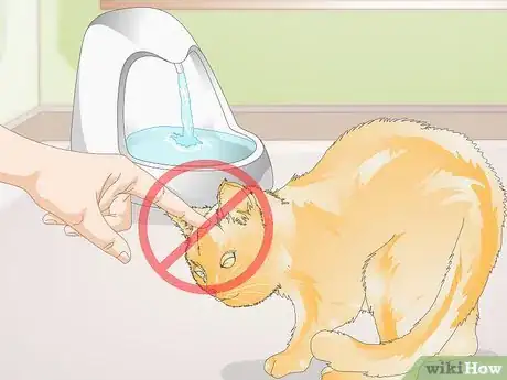 Image intitulée Train Your Cat to Use a Pet Fountain Step 8