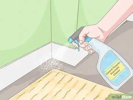 Image intitulée Get Rid of the Fishy Smell from My Dog Step 14