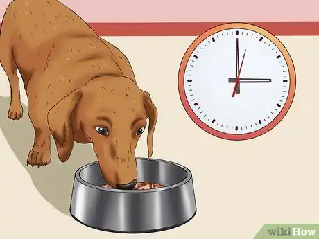 Image intitulée Get Your Dog to Eat Dry Food Step 10