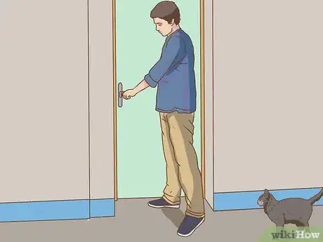 Image intitulée Change an Outdoor Cat Into an Indoor Cat Step 16