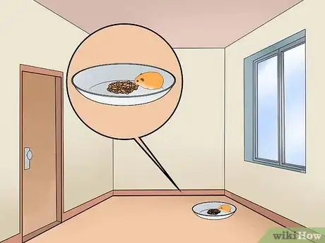Image intitulée Find a Lost Hamster Step 11