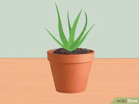 Image intitulée Measure Growth Rate of Plants Step 16