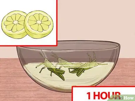 Image intitulée Cook Grasshoppers Step 10