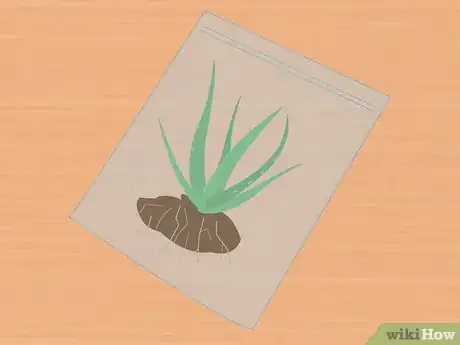 Image intitulée Measure Growth Rate of Plants Step 19