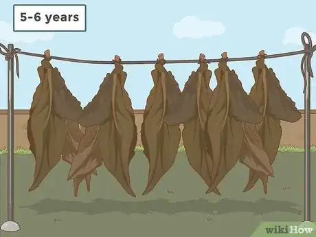 Image intitulée Grow Tobacco Step 16
