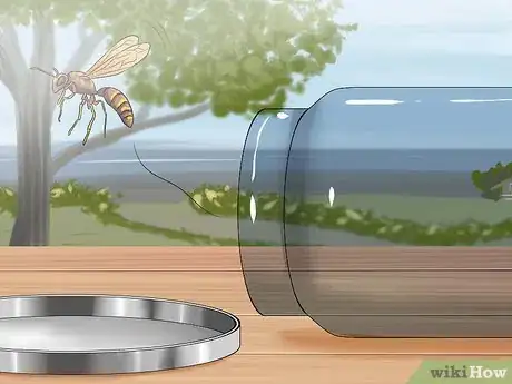 Image intitulée Kill a Bee Step 5