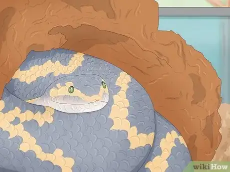 Image intitulée Care for a Shedding Snake Step 11