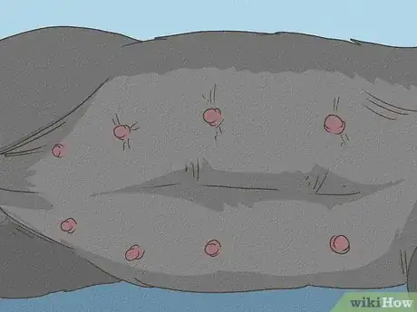 Image intitulée Detect Pregnancy in Your Female Dog Step 9