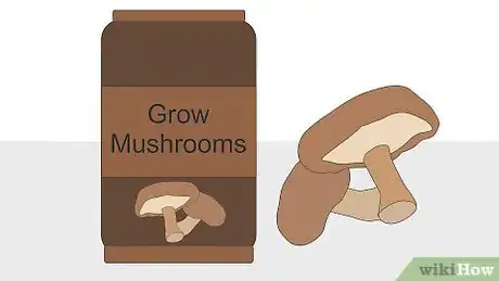 Image intitulée Grow Mushrooms Indoors Step 13