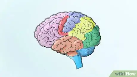 Image intitulée Draw a Brain Step 13