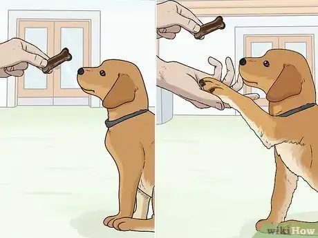 Image intitulée Train Labrador Retrievers Step 5