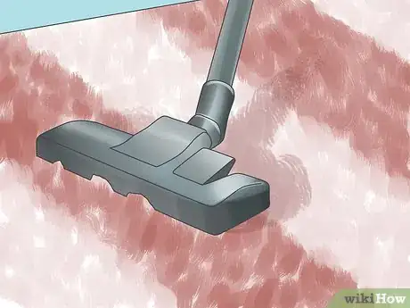 Image intitulée Get Rid of the Smell of Vomit in a Carpet Step 10