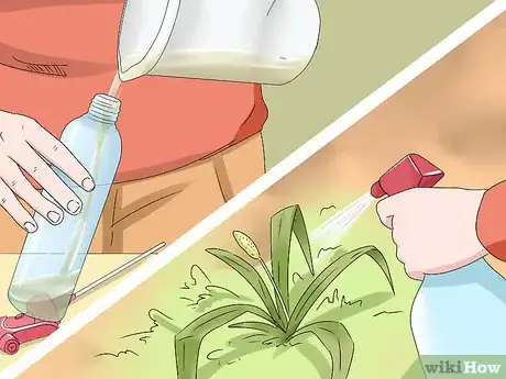 Image intitulée Make Weed Killer Step 6