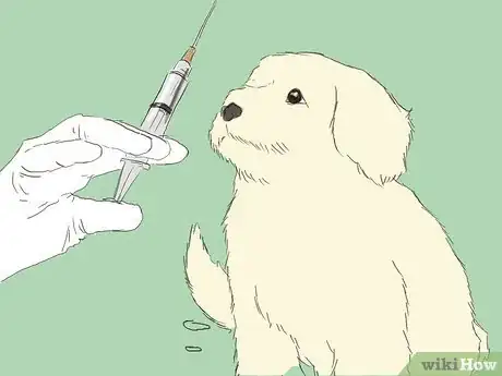 Image intitulée Care for an 8 Week Old Puppy Step 21