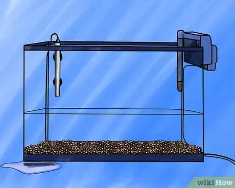 Image intitulée Set up a Freshwater Aquarium Step 6