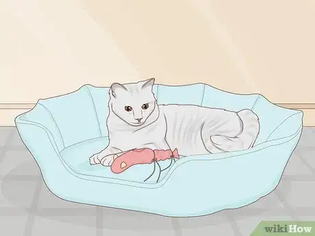Image intitulée Make Cat Toys out of Common Household Items Step 40