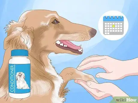 Image intitulée Alleviate Dry Skin in Dogs Step 9