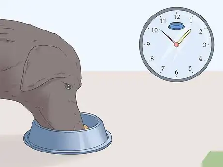 Image intitulée Potty Train Your Puppy Using a Bell Step 2