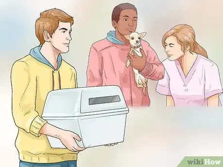 Image intitulée Treat a Sprain on a Dog Step 5