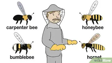 Image intitulée Get Rid of Bees Step 5