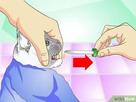 Image intitulée Give Cats Liquid Medicine Step 10
