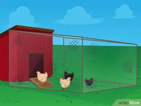 Image intitulée Raise Baby Chickens Step 13