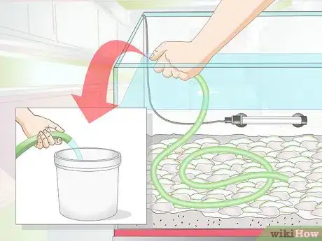 Image intitulée Clean Aquarium Gravel Step 4