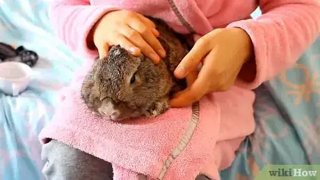 Image intitulée Cut a Rabbit's Claws Step 7