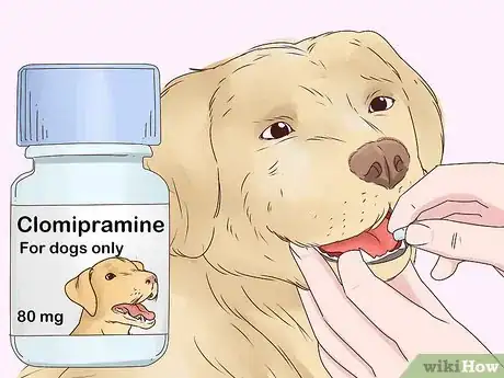 Image intitulée Stop Dogs Licking You Step 6