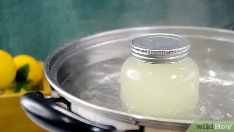Image intitulée Preserve Lemon Juice Step 11
