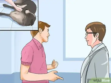 Image intitulée Tell if a Small Dog Is Okay After a Fall Step 5