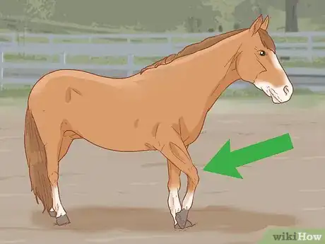 Image intitulée Identify a Hoof Abscess in Horses Step 1