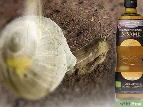 Image intitulée Care for Snails Step 10Bullet2