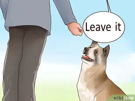 Image intitulée Keep Your Dog from Chasing Cats Step 7