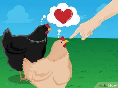 Image intitulée Raise Baby Chickens Step 22