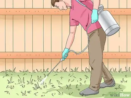 Image intitulée Make Weed Killer Step 9