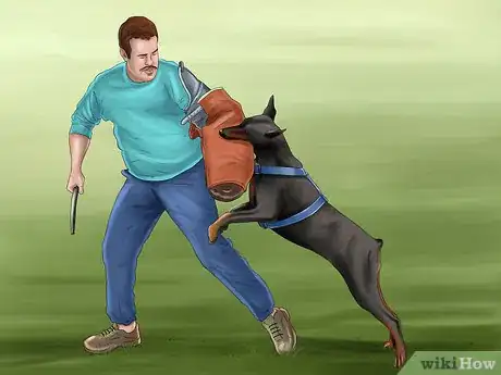 Image intitulée Care for Doberman Pincshers Step 2