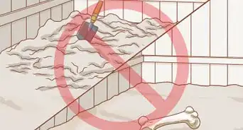 empêcher son chien de creuser