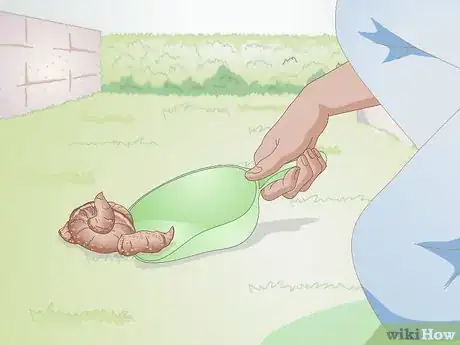 Image intitulée Clean Up Dog Waste from a Backyard Step 2