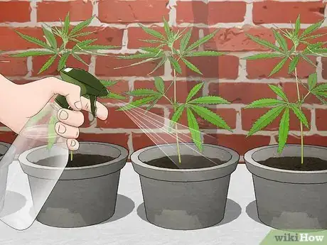 Image intitulée Plant Clones Step 11