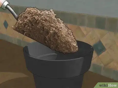Image intitulée Grow an Indoor Herb Garden Step 4