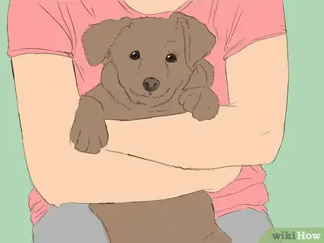 Image intitulée Care for an 8 Week Old Puppy Step 5