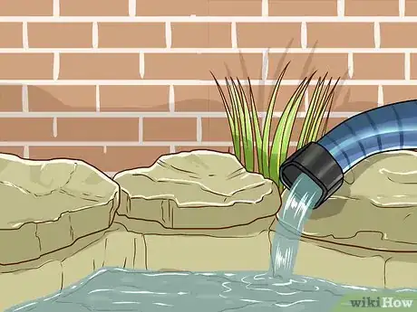 Image intitulée Clean a Koi Pond Step 14