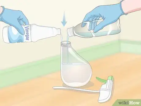 Image intitulée Get Dog Urine Smell out of Carpets Step 1