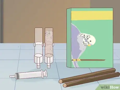 Image intitulée Breed Budgies Step 4
