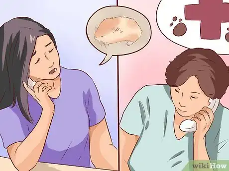 Image intitulée Treat Your Hamster's Broken Leg Step 3