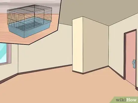 Image intitulée Care for Baby Guinea Pigs Step 4