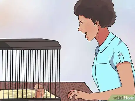 Image intitulée Feed Dwarf Hamsters Step 10